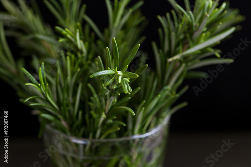 bouquet of rosemary in a glass on a dark background