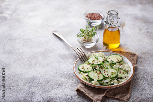 Healthy spring salad with cucumber, flax seed and cress 