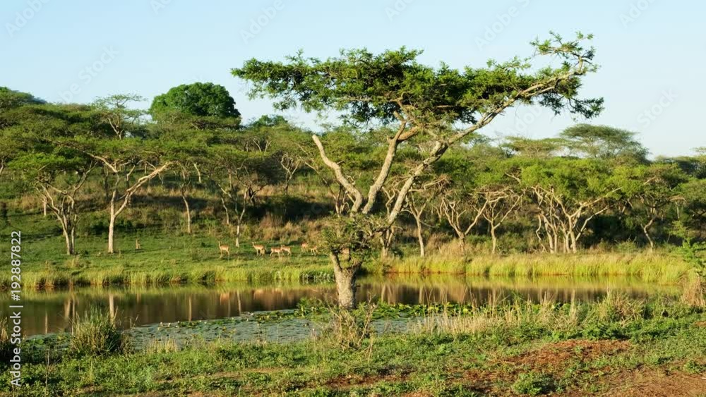 Drakensberg mountains landscape water hole morning Drakensberg mountains landscape water hole morning