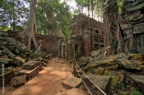 Ta Prohm Temple  Temples of Angkor  Cambodia