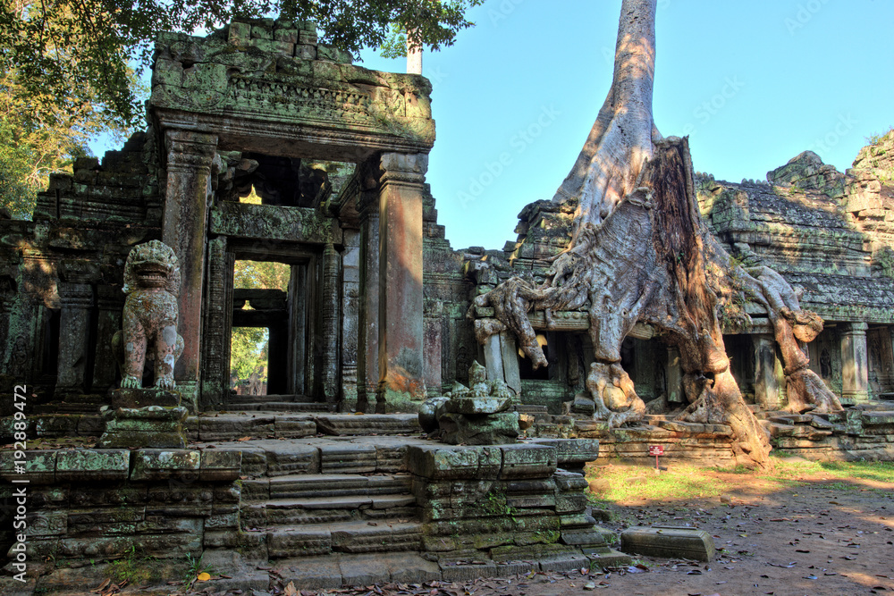 Preah Khan Temple, Temples of Angkor, Cambodia Preah Khan Temple, Temples of Angkor, Cambodia
