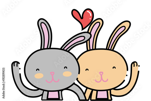 color beauty rabbit couple together with heart