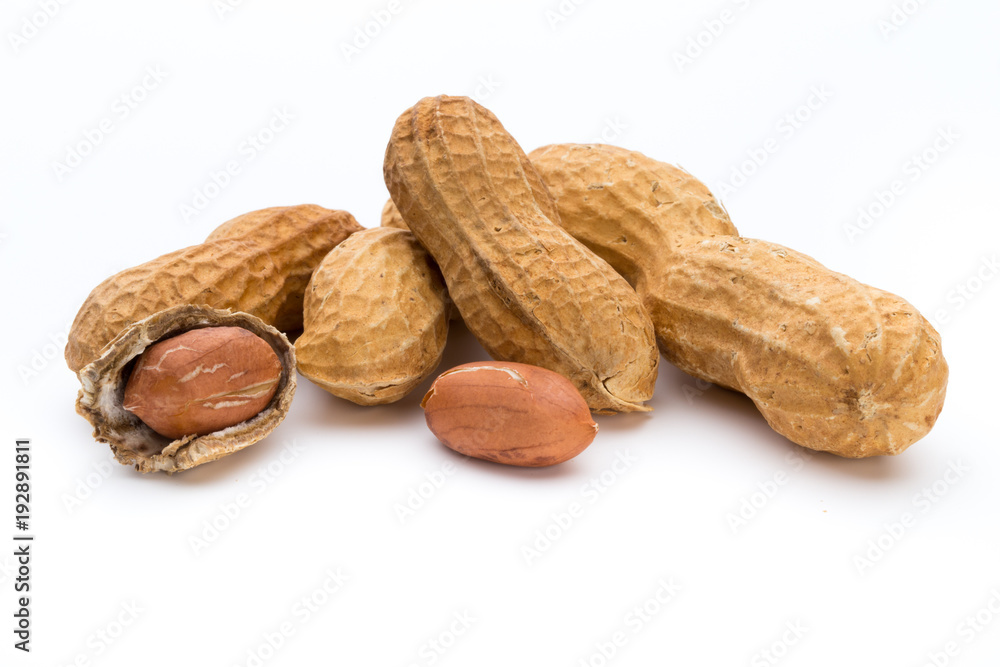 Dried peanuts on the white background. Dried peanuts on the white background.