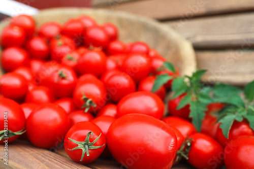 Fresh tomato crop in a wooden bowl