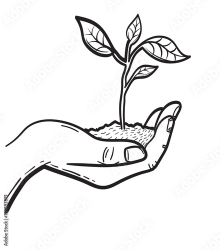 Human hand holding handful of soil with young sprout sketch icon for web, mobile and infographics. Hand drawn sprout vector icon isolated on white background.