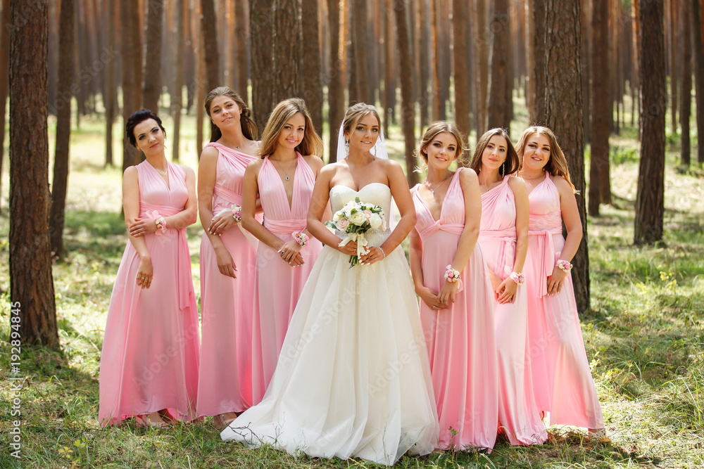Group portrait of bride and bridesmaids. Stylish wedding in pink color. Marriage concept