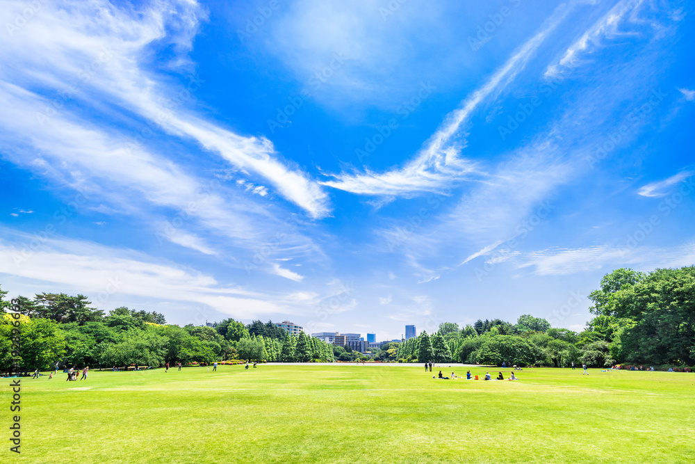 新緑が眩しい休日の公園
