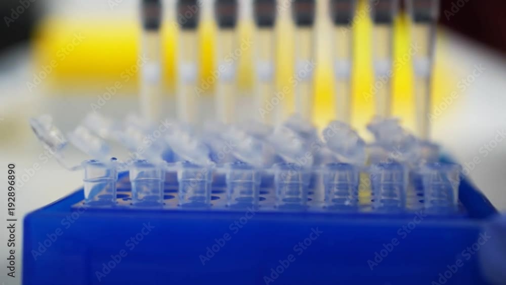 Laboratory test plate. medical test of blood or dna. test of cancer or virus. Laboratory test plate. medical test of blood or dna. test of cancer or virus.