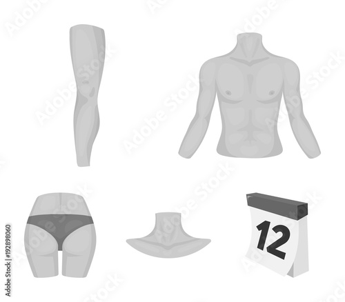 Torso, leg, neck and buttocks. Body parts set collection icons in monochrome style vector symbol stock illustration web.