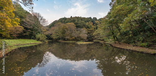 Fototapeta Naklejka Na Ścianę i Meble -  Autumn colors, Fall foliage at Zama Yatoyama Koen Park. Located in Zama-shi, Kanagawa Prefecture, Japan