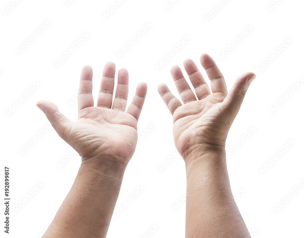 Human open empty hands with palms up isolated on white background Human open empty hands with palms up isolated on white background