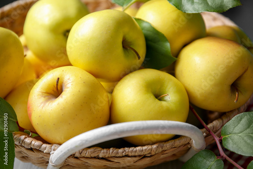 Basket with ripe yellow apples, closeup photo