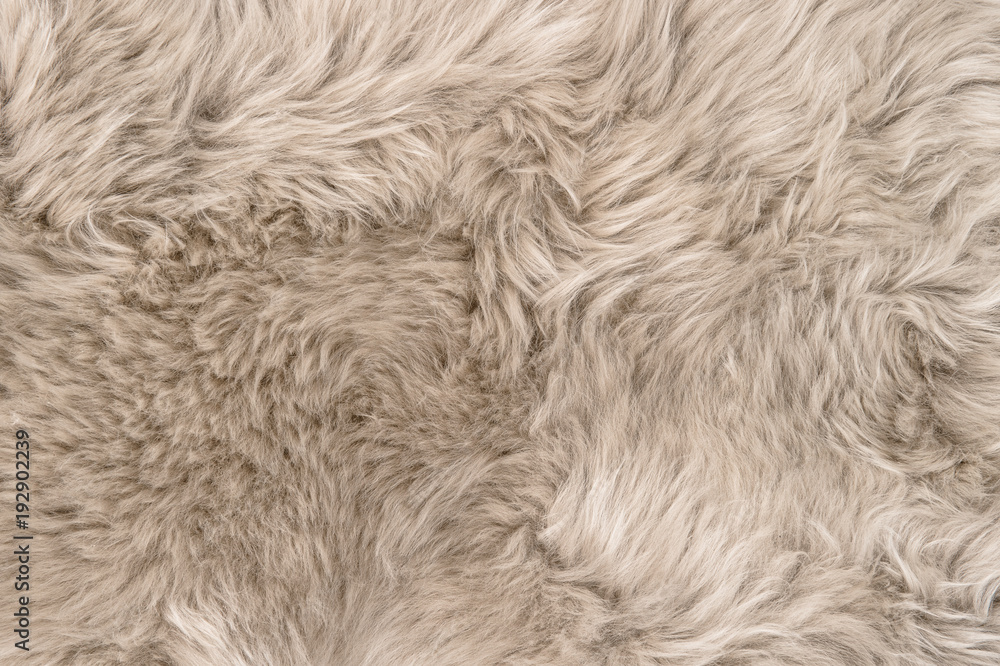 Natural sheepskin rug background texture sheep fur - obrazy, fototapety, plakaty 