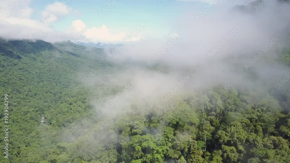 A medium shot of mountains and jungle trees and clouds. Camera move forward A medium shot of mountains and jungle trees and clouds. Camera move forward