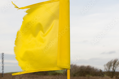 Yellow flag