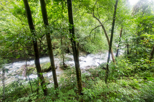 Pure nature in the middle of the bushy evergreen forest of Umphang Wildlife Sanctuary Tak Province Thailand.