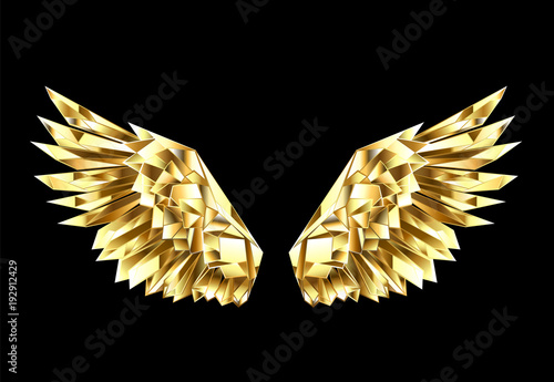 Gold polygonal wings