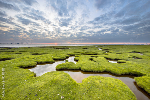 Erosion holes in meadow Tidal marsh of Dollard photo