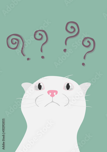 fat cat confused