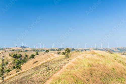 Windmills for electric power production.