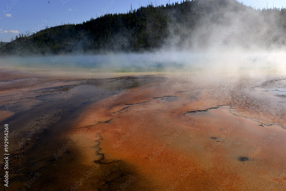 Geothermal steam