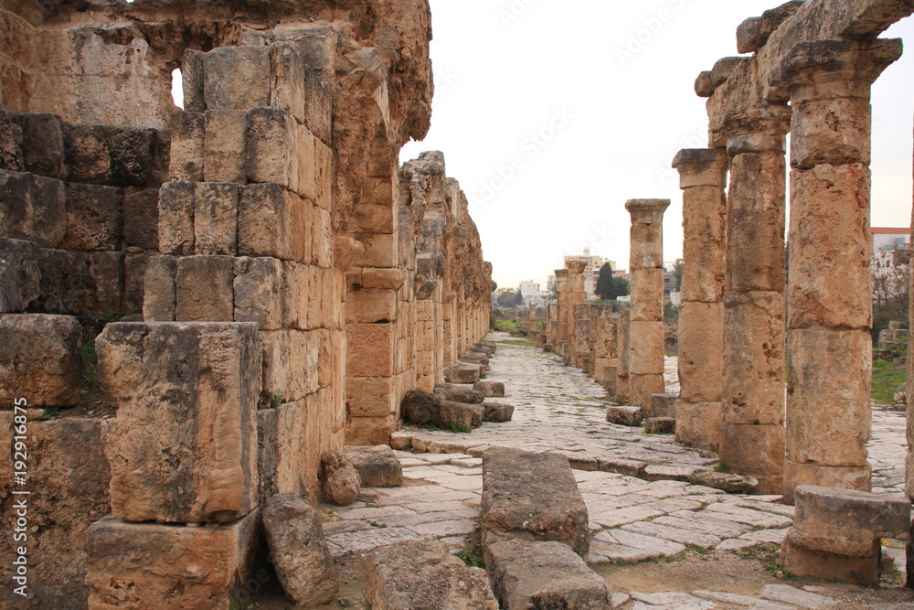 dans les ruines romaines de Tyr