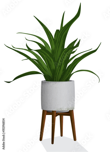 Artistic rendering of a spiky houseplant in a contemporary concrete planter isolated with wooden plant stand. 