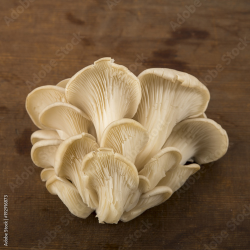 Top View of Oyster Mushroom Isolated on Brown Wooden Background