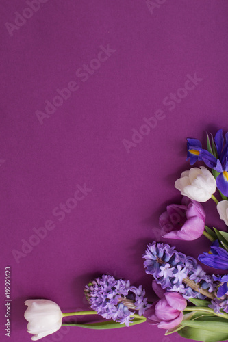 Fototapeta Naklejka Na Ścianę i Meble -  beautiful flowers on paper background