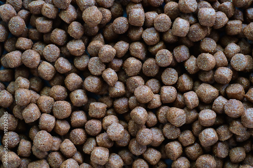 Dried pellet dog food for animal and pet care concept