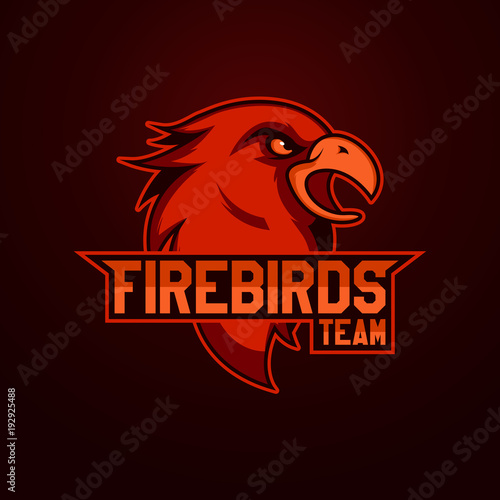 Modern professional logo for sport team. Firebird mascot. Firebirdss, vector symbol on a light background.