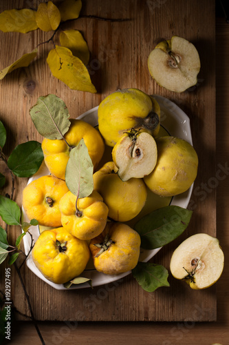 Ripe large quince photo