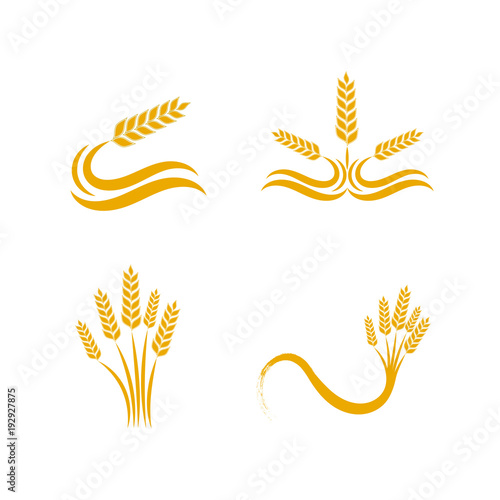 Simple wheat logo design illustration for bakery