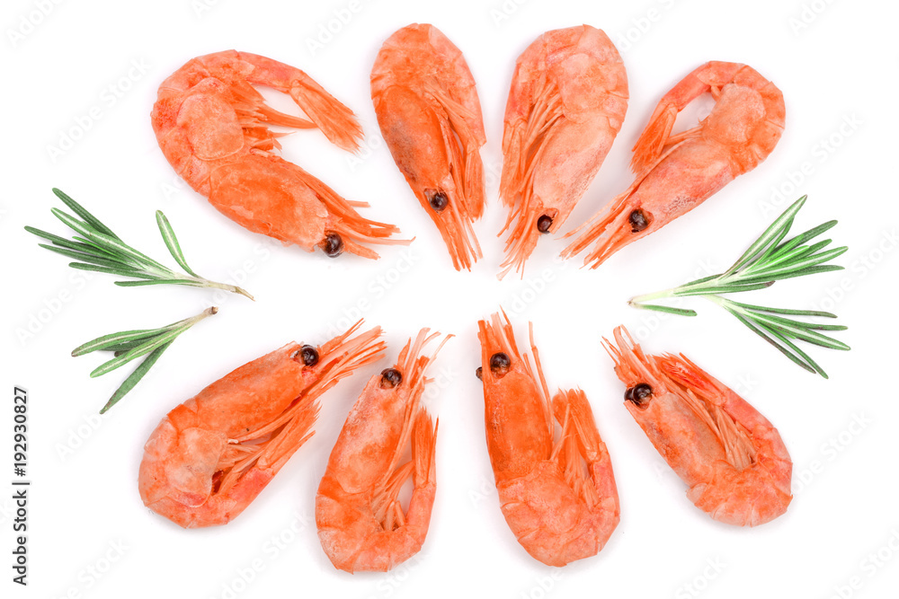Red cooked prawn or shrimp with rosemary isolated on white background. Top view. Flat lay Red cooked prawn or shrimp with rosemary isolated on white background. Top view. Flat lay