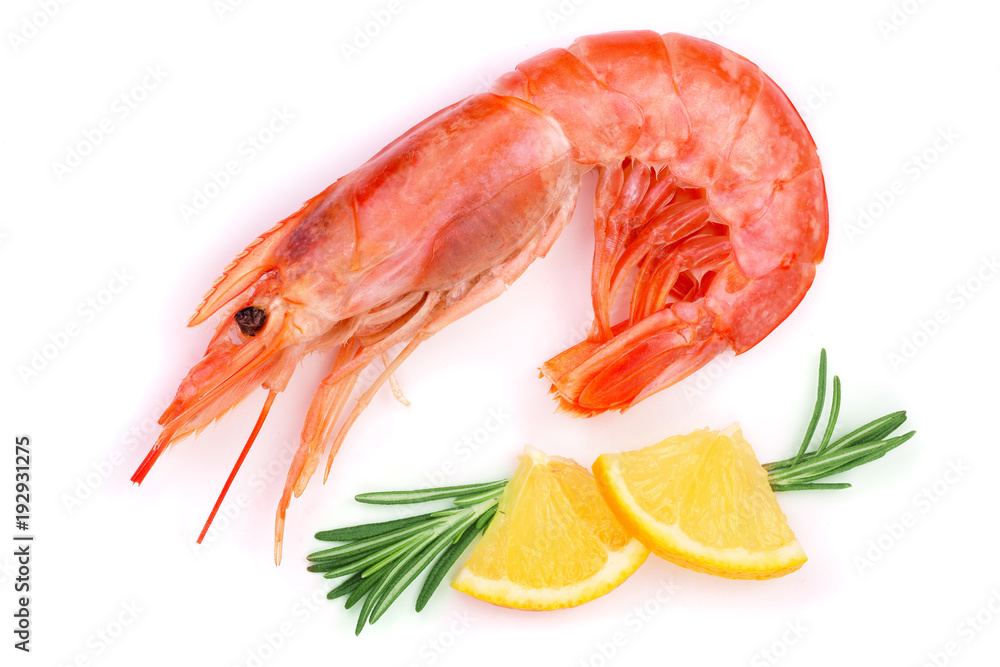 Red cooked prawn or shrimp with rosemary and lemon isolated on white background. Top view. Flat lay Red cooked prawn or shrimp with rosemary and lemon isolated on white background. Top view. Flat lay