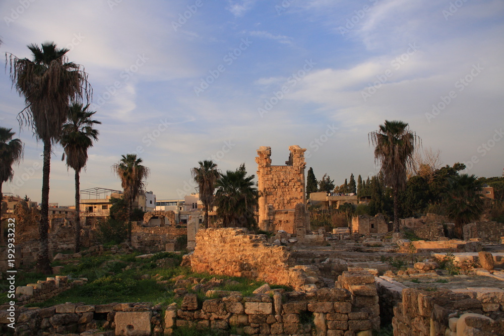 ruines romaines d'Al Bass à Tyr