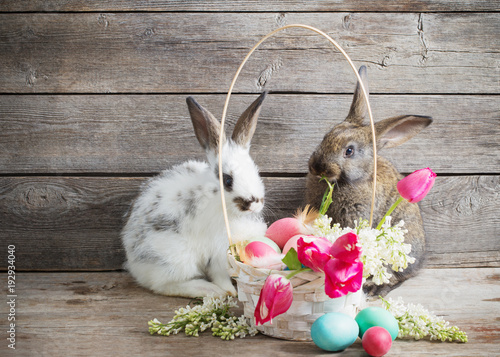 rabbits with Easter eggs on wooden background
