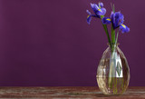 still life with spring floweras in vase
