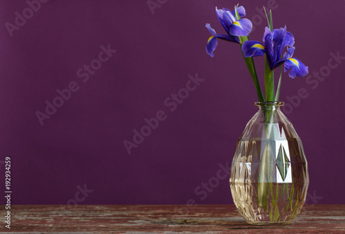 Fototapeta Naklejka Na Ścianę i Meble -  still life with spring floweras in vase