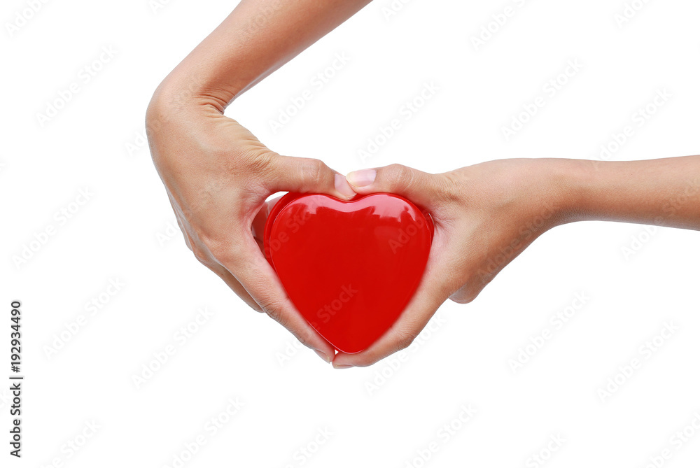 Obraz premium Hands holding small gift heart on Valentine's Day isolated on white background.