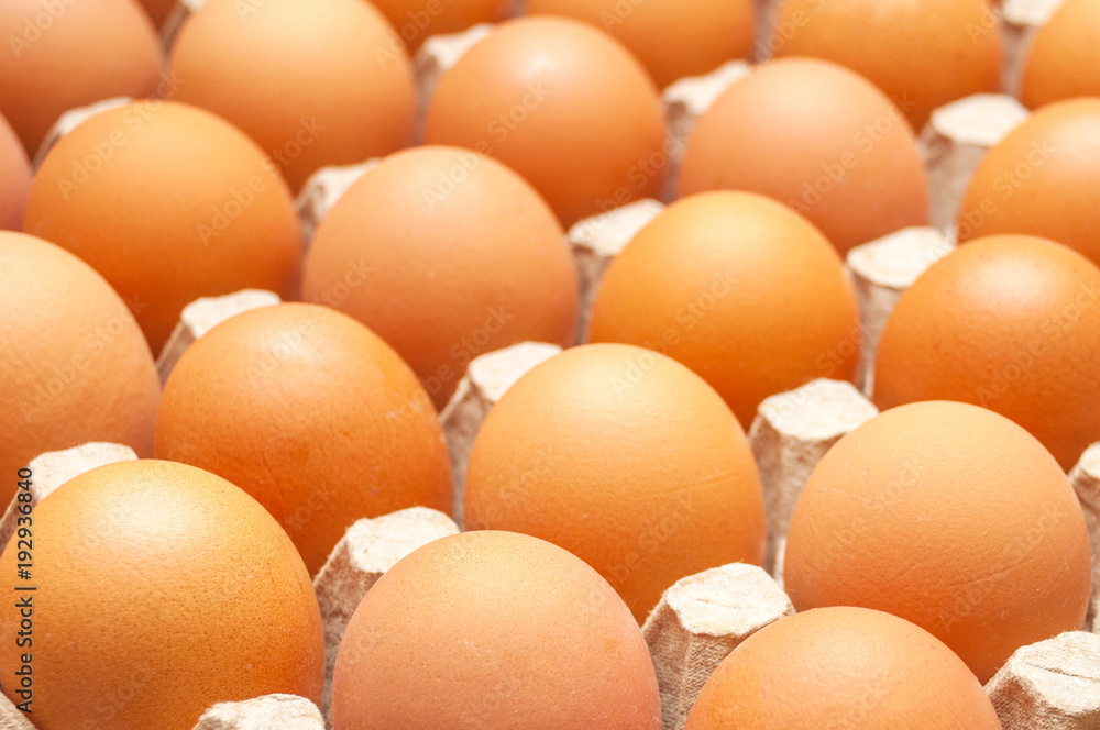 Fresh unbroken brown chicken eggs lie in a special cardboard tray Fresh unbroken brown chicken eggs lie in a special cardboard tray