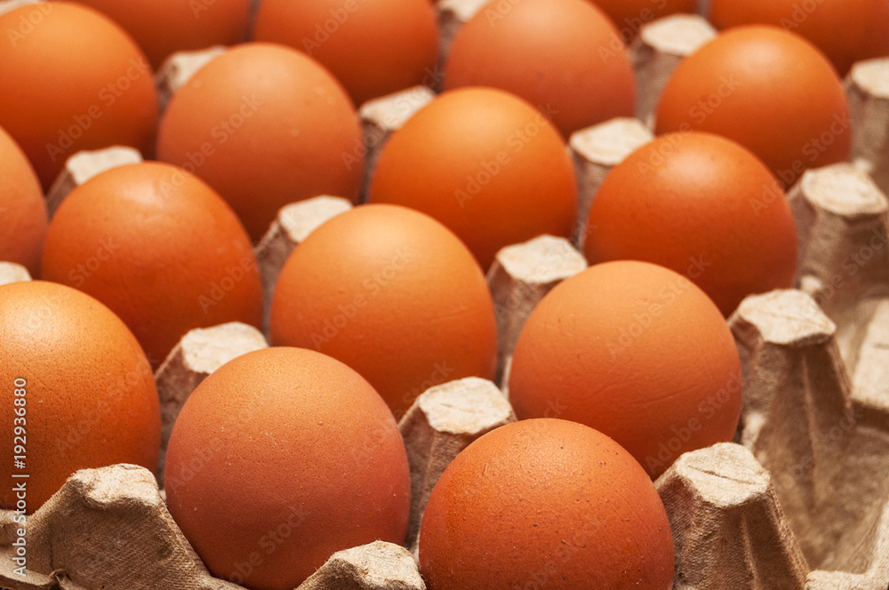 Fresh unbroken brown chicken eggs lie in a special cardboard tray Fresh unbroken brown chicken eggs lie in a special cardboard tray