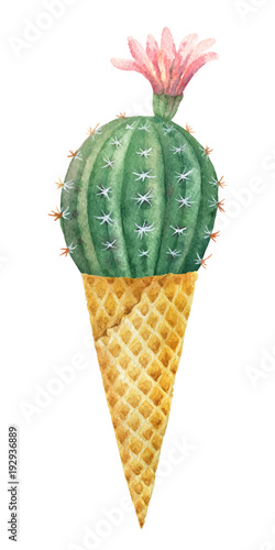 Watercolor vector cactus in a waffle cone isolated on white background.