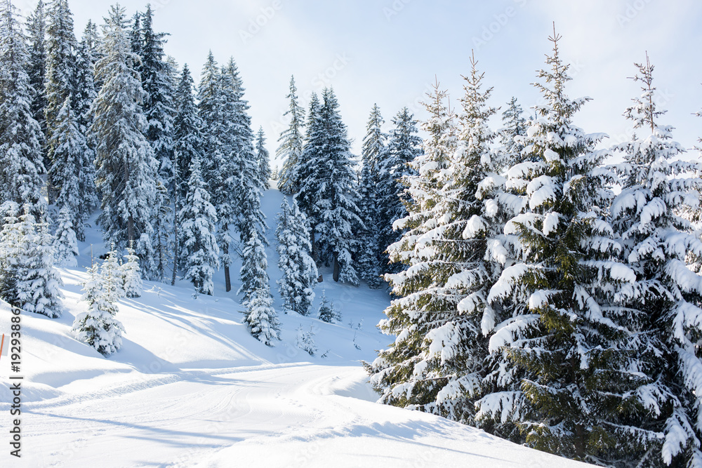 Scenery winter snowy landscape in Austrian Apls in ski areal