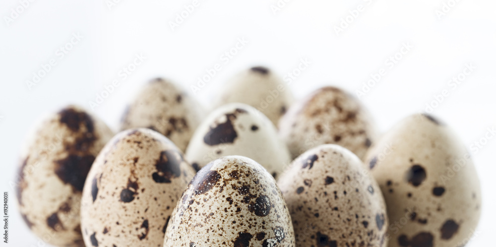 Obraz premium Preparation for the celebration of Easter. A set of quail eggs on a white background of eggs photographed close-up. Dietary food.