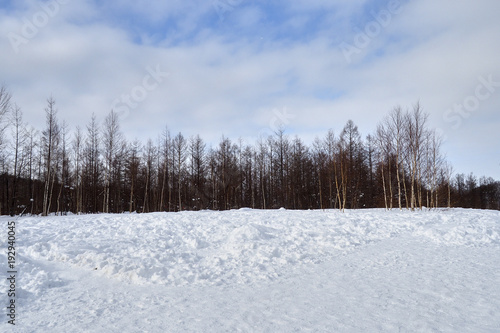 Wallpaper Mural hokkaido Japan Torontodigital.ca