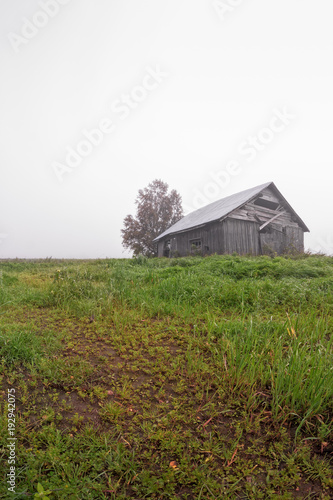 Fog On The Autumn Fields photo