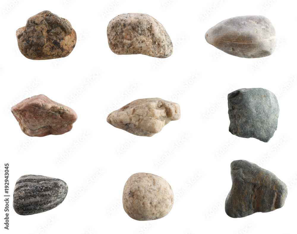 Set of stones of different breeds isolated on white background.
