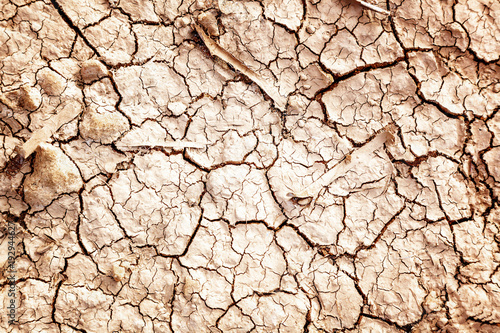 Dry cracked earth, natural abstract background and texture