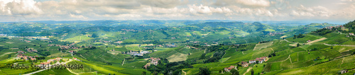 wide angle panoramic view of langhe hills, unesco heritage, on summer.